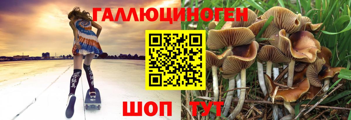 Псилоцибиновые грибы MAGIC MUSHROOMS Аргун